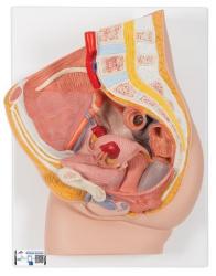 Relifny model - Panva eny