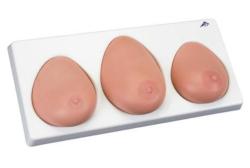 Cvin model vyetrenia prsnkov na podstavci