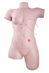 Cvin model - simultor pre oetrovanie rn a obvzov techniky
