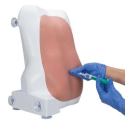 Cvin model - Simultor aplikcie epidurlnej a spinlnej injekcie