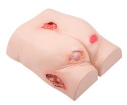 Cvin model - simultor pre oetrovanie preleann/dekubitov