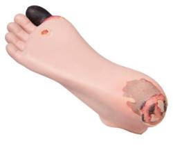 Cvin model - simultor vyetrenia diabetesu na chodidle