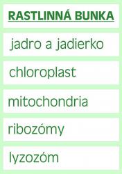 Obrzok (1)