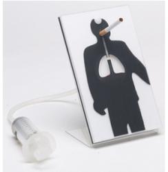 Model - kodlivos fajenia