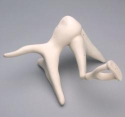 Sluchov kostiky, 20-nsobn vekos