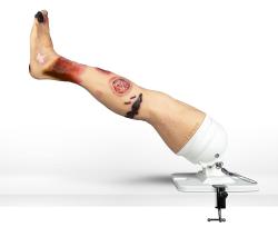 Lena Leg  realistick vubov simultor s patolgiami dolnch konatn