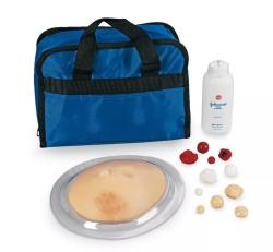 Cvi�n� simul�tor vy�etrenia prsn�ka poh�adom a pohmatom