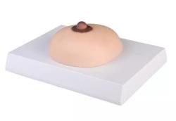 Cvi�n� model vy�etrenia prsn�ka pohmatom