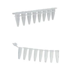 Skmavky PCR, stripy