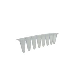 Skmavky qPCR, stripy