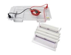 Horizontlna elektroforza  pre 1-116 vzoriek, Nahita