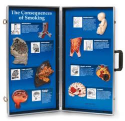 Dsledky fajenia - 3D panel